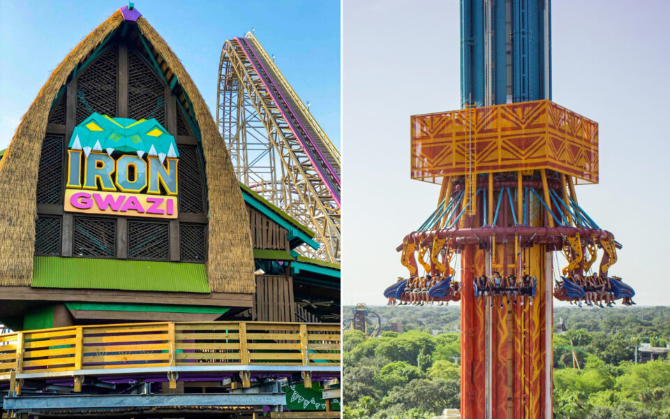 Top 10 Best Rides at Busch Gardens Tampa