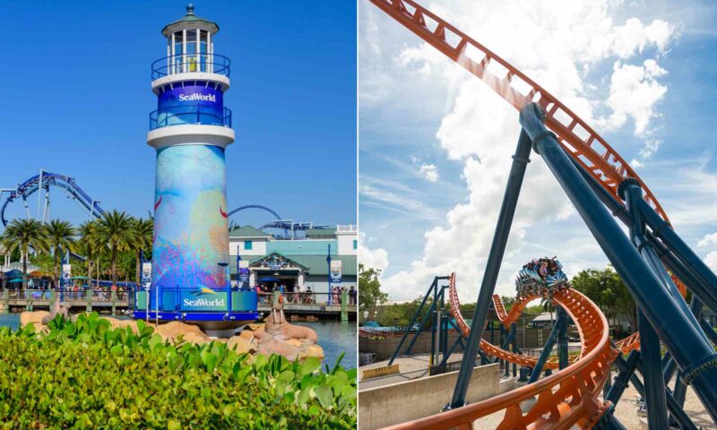 7 Best Rides at Seaworld Orlando